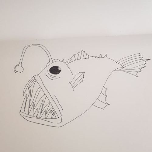 ZN Fish